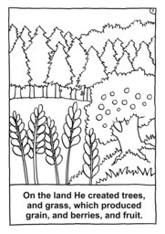 08_Colouring_Creation: Art and craft; Bible story; BW; Coloring; Colouring