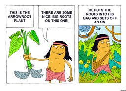 05_Arrowroot_Story: Bible topics; Colour; Story
