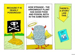 09_Arrowroot_Story: Bible topics; Colour; Story