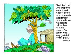 38_Bible_Verses: Bible Books; Bible verses