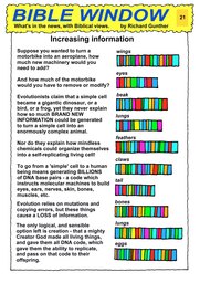 021_Bible_Window: Bible topics; Colour