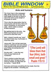 023_Bible_Window: Bible topics; Colour