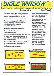 071_Bible_Window: Bible topics; Colour