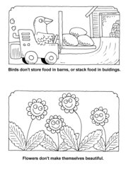 06_Birds_Flowers