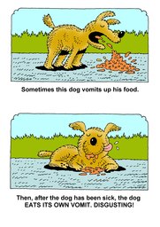 05_Disgusting Dog
