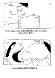 06_Elephant