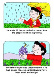 07_Farmer