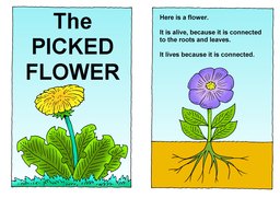 01_Picked_Flowers