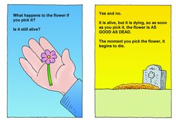 02_Picked_Flowers