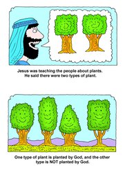 03_Planted