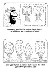 04_Planted