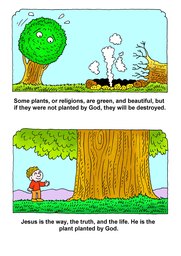 07_Planted