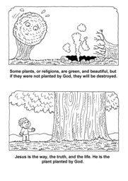 08_Planted