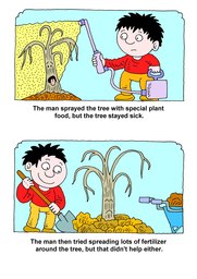 05_Roots