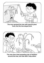 06_Roots