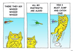 31_Cat_Story: Bible story