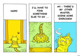 36_Cat_Story: Bible story