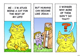 51_Cat_Story: Bible story