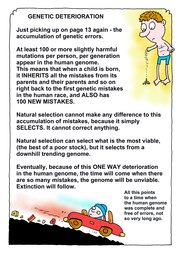 015_Genesis: Bible Books; Cartoons; Genesis