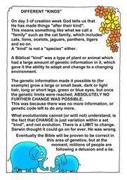 023_Genesis: Bible Books; Cartoons; Genesis