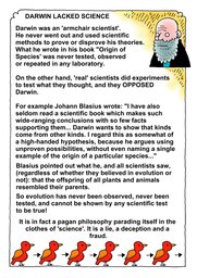 024_Genesis: Bible Books; Cartoons; Genesis