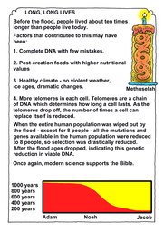 082_Genesis: Bible Books; Colour; Genesis