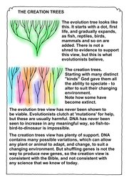 121_Genesis: Bible Books; Colour; Genesis