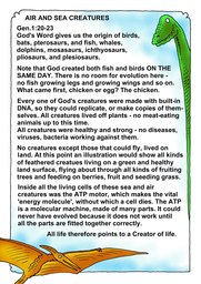 035_Genesis: Bible Books; Colour; Genesis