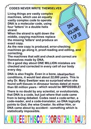 038_Genesis: Bible Books; Colour; Genesis
