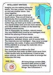 039_Genesis: Bible Books; Colour; Genesis