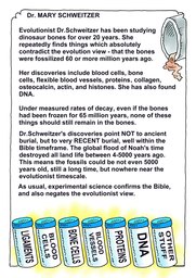 045_Genesis: Bible Books; Colour; Genesis