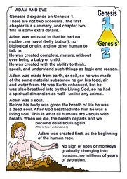 Genesis 60: Bible Books; Colour; Genesis