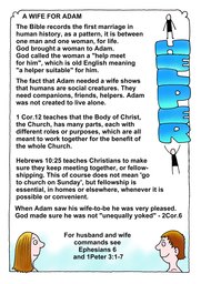Genesis 66: Bible Books; Colour; Genesis