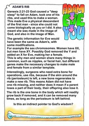 Genesis 69: Bible Books; Colour; Genesis