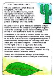 058_Genesis: Bible Books; Colour; Genesis