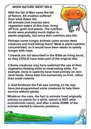 065_Genesis: Bible Books; Colour; Genesis