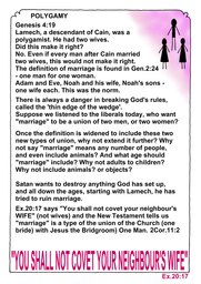 075_Genesis: Bible Books; Colour; Genesis