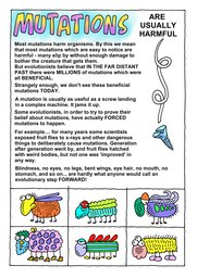 13_Biological_Evolution: Colour; Creation