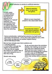 18_Biological_Evolution: Colour; Creation