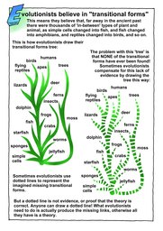 20_Biological_Evolution: Colour; Creation