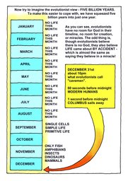 24_Biological_Evolution: Colour; Creation