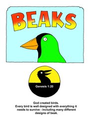 01_Bird_Beaks: Birds