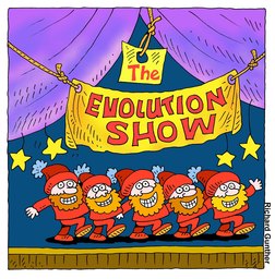 208_Atheist_Cartoons: Atheist; Cartoons; Colour