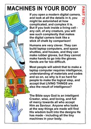 015_Creation_Magazine_02: Colour; Creation