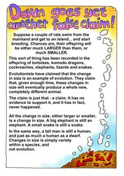 042_Creation_Magazine_03: Colour; Creation