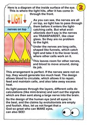 044_Creation_Magazine_03: Colour; Creation