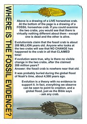 051_Creation_Magazine_04: Colour; Creation