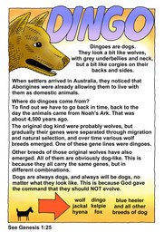 025_Creation_Magazine_05: Colour; Creation