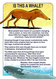 027_Creation_Magazine_05: Colour; Creation