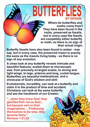 006_Creation_Magazine_06: Colour; Creation